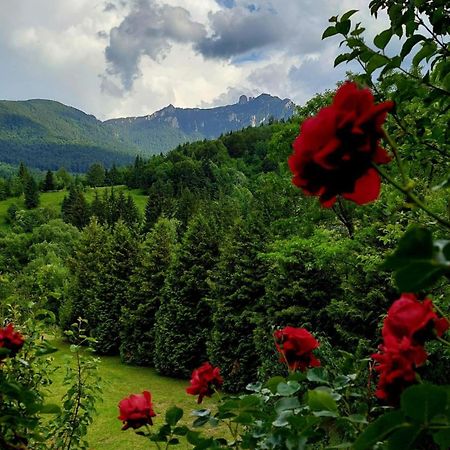 Cabana Dochita Чахлэу Экстерьер фото